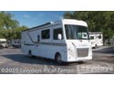 New 2019 Winnebago Intent 31P available in Seffner, Florida