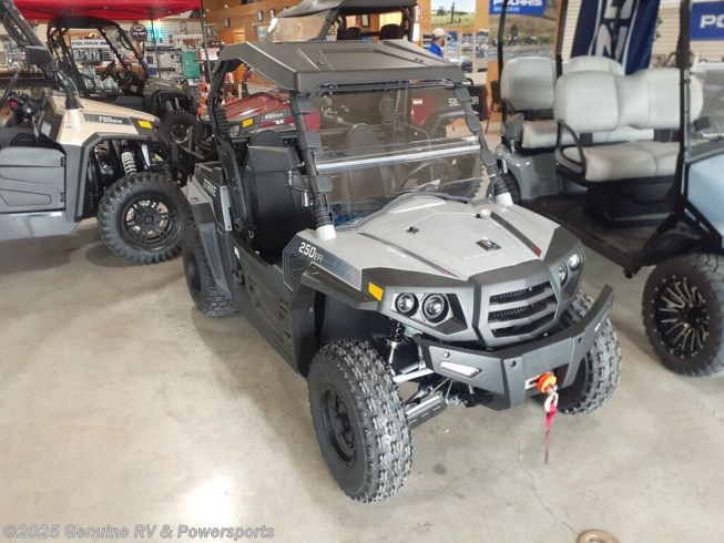 2021 Miscellaneous Hisun Motors Strike 250 2021 Miscellaneous Hisun Motors Strike 250