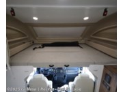 New 2026 Entegra Coach Accolade 37M available in Port St. Lucie, Florida