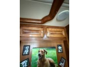 Call now about this 2015 Tiffin Phaeton 40AH! 2015 Tiffin Phaeton 40AH - Used Diesel Pusher For Sale by Pop RVs in Tucson, Arizona features Generator, Awning, Leveling Jacks, Air Conditioning, Slideout