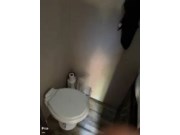 Contact us now about this 2023 Grand Design Transcend XPLOR 321BH! 2023 Transcend XPLOR 321BH by Grand Design from Pop RVs in Fort White, Florida