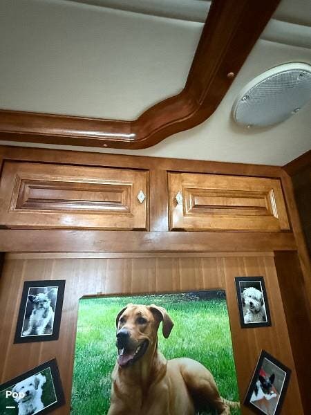 2015 Tiffin Phaeton 40AH - Used Diesel Pusher For Sale by Pop RVs in Tucson, Arizona features Generator, Awning, Leveling Jacks, Air Conditioning, Slideout