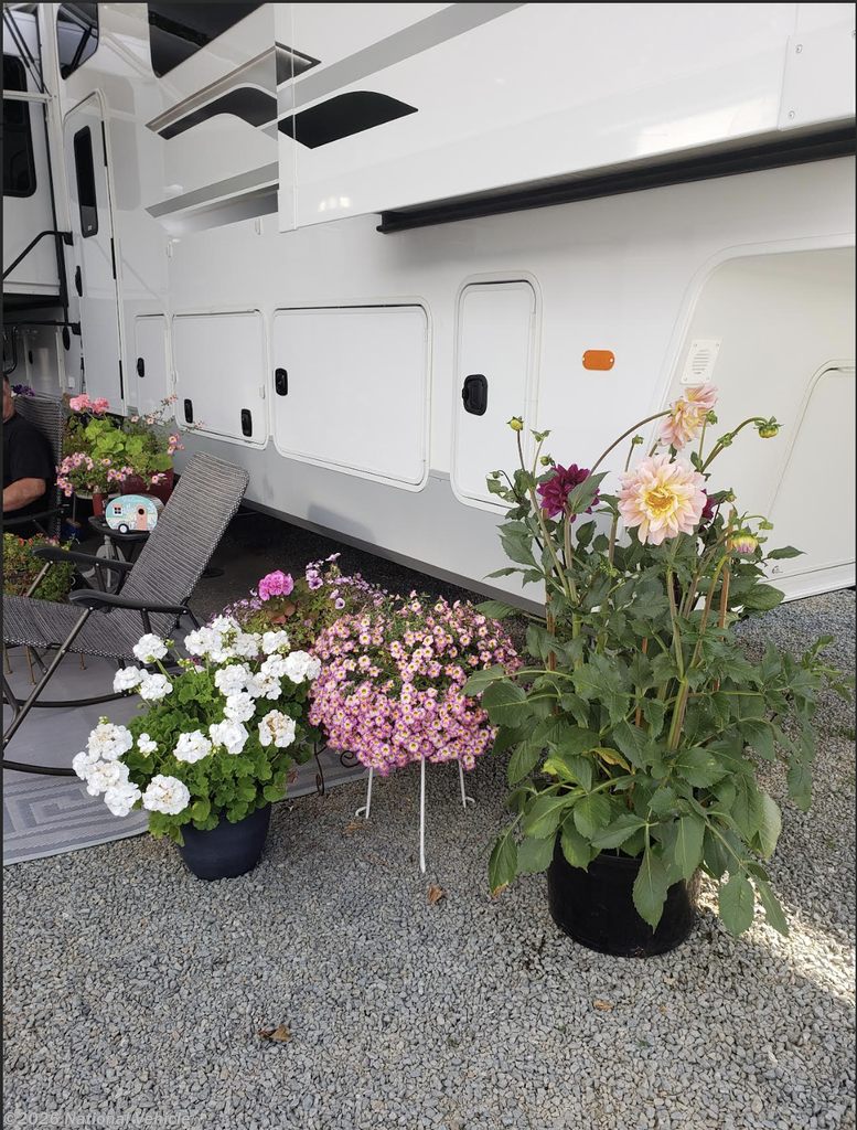 2021 Palomino River Ranch 390RL - Used Fifth Wheel For Sale by National Vehicle in Marysville, Washington