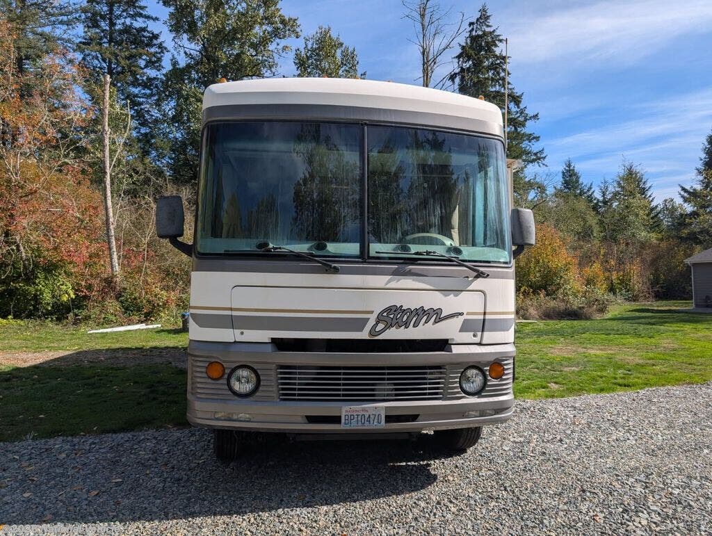 2004 Storm 31W by Fleetwood from National Vehicle in Spanaway, Washington