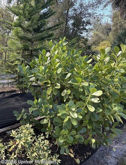 Used 2005 Franklin Coach available in North Fort Myers, Florida